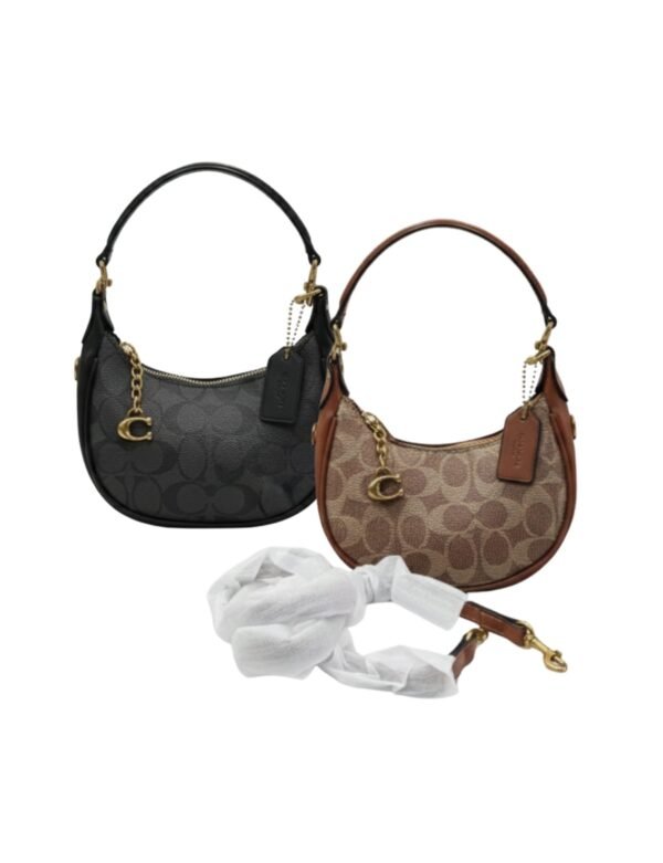 Coach Mini Signature Hobo Bag