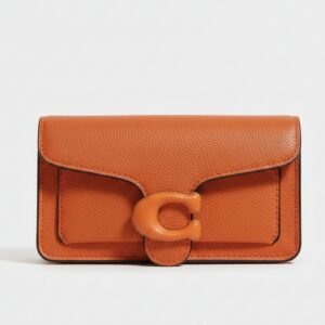 Signature C-Clasp Crossbody Chain Clutch